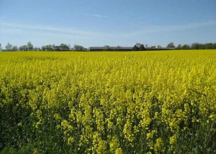 Itzke 2 Semesterbostad Kappeln